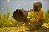 PHOTO COURTESY NEON - Beekeeper Hatidze Muratova in the documentary, &quot;Honeyland.&quot;